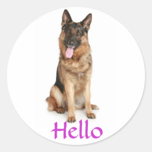 Hallo Deutsche Schäferhund Welpen Hund Grüß Aufkle Runder Aufkleber