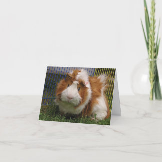 Hallo dort! (Spaßvogel) Karte