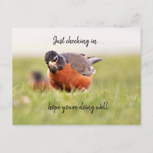 Hallo - Einfach in Postkarte einchecken