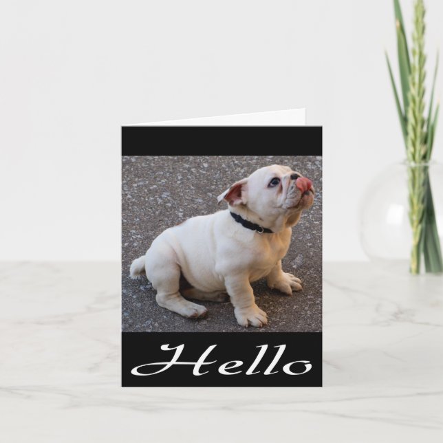 Hallo English Bulldog Puppy Dodge Blank Note Card Karte (Vorderseite)
