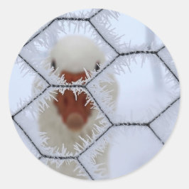 Hallo ! Ente hinter mattiertem Zaun Runder Aufkleber