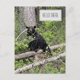 Hallo Es Black Beer Postcard Postkarte