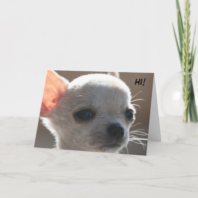 HALLO! FEIERTAGSKARTE (Vorderseite)