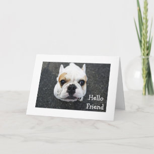 Hallo Freund Bulldogge Grußkarte - Vers Karte