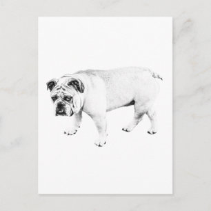 Hallo Freund, Friedlicher Hundepost Postkarte