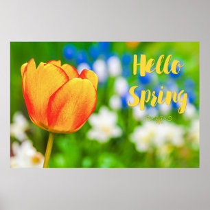 Hallo Frühling! Poster