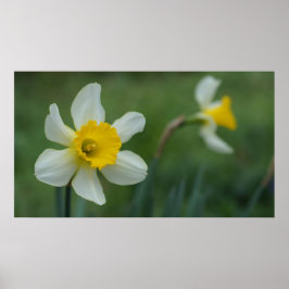 Hallo Frühling! Poster