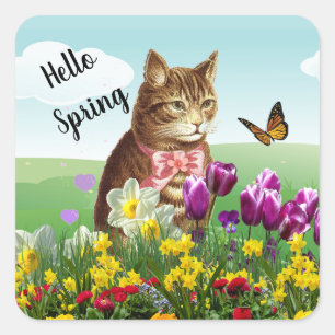 Hallo Frühling Saisonale Katze im Garten Quadratischer Aufkleber