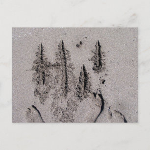 Hallo! Geschrieben in Florida Strand Sand mit Fußa Postkarte