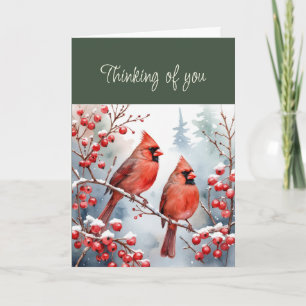 Hallo Hallo Denken Sie an You Red Bird Kardinals S Karte