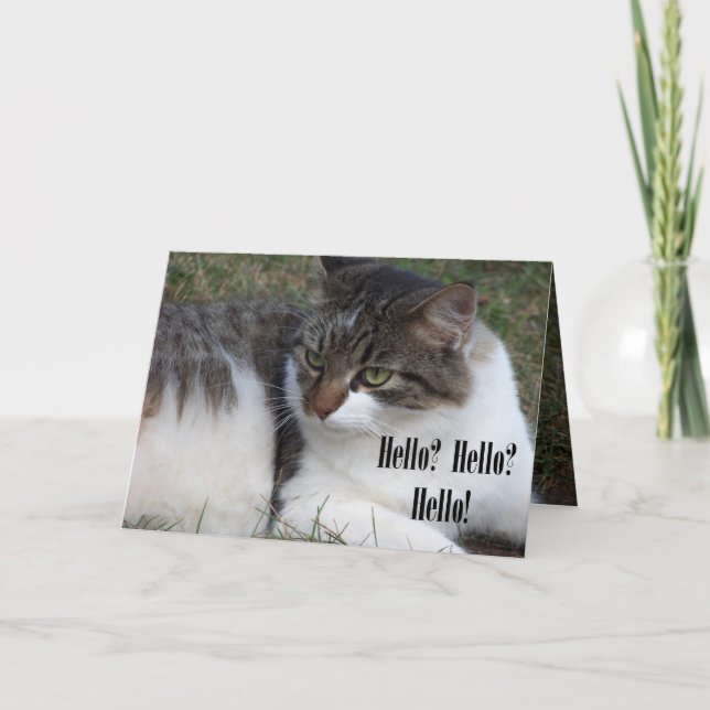 Hallo? Hallo? Hallo! (Katzen-) Karten (Vorderseite)