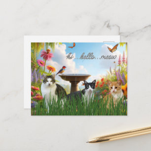 Hallo Hallo Miau / Katzen im Garten Süßes Tier Postkarte
