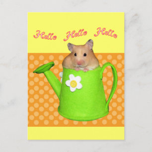 Hallo hello hamster postkarte