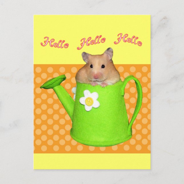 Hallo hello hamster postkarte (Vorderseite)