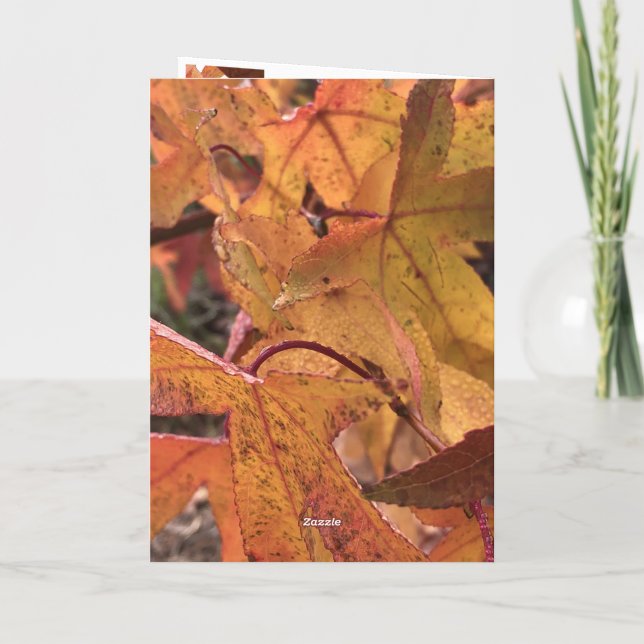 "Hallo Herbst!" Grußkarte Karte (Rückseite)