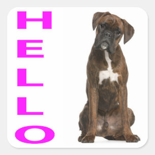 Hallo / Hi Boxer Puppy Dog Purple Grußaufkleber Quadratischer Aufkleber