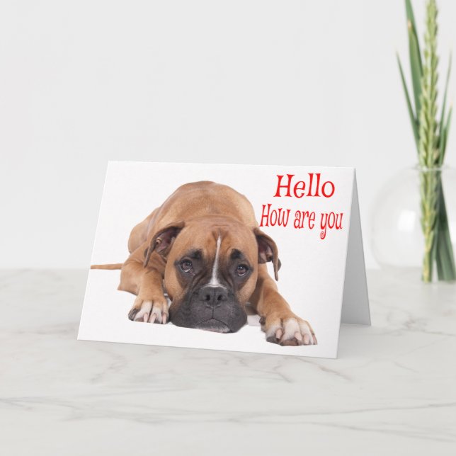 Hallo / Hi Boxer Welpe - Brown & White Dog Karte (Vorderseite)