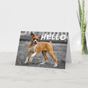 Hallo / Hi Boxer Welpe Hund - Freundschaft, Miss Y Karte