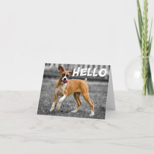 Hallo / Hi Boxer Welpe Hund - Vers Karte