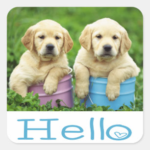 Hallo / Hi Labrador Retriever Welpe Hunde Stickers