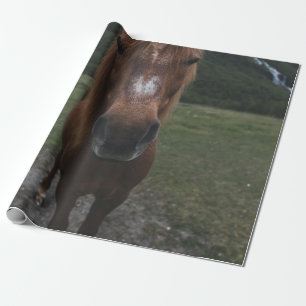 HALLO ICH BIN EIN PFERD GESCHENKPAPIER