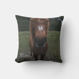 HALLO ICH BIN EIN PFERD KISSEN