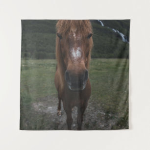 HALLO ICH BIN EIN PFERD WANDTEPPICH