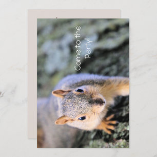 Hallo! Ich bin Liebling! Einladung