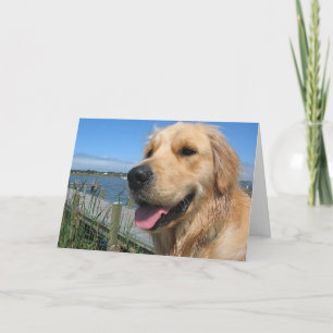 Hallo, Ich Denke An Dich Golden Retriever Welpen G Karte