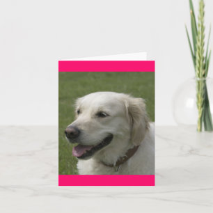 Hallo, Ich Denke An Dich Golden Retriever Welpen G Karte