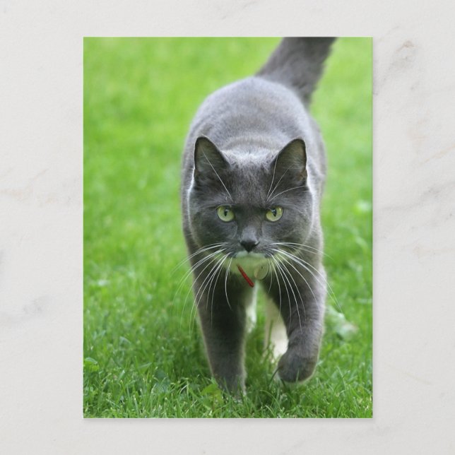 Hallo, ich heiße Miki Postkarte (Vorderseite)