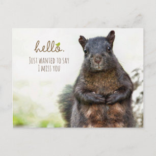 Hallo ich Miss Sie Postkarte