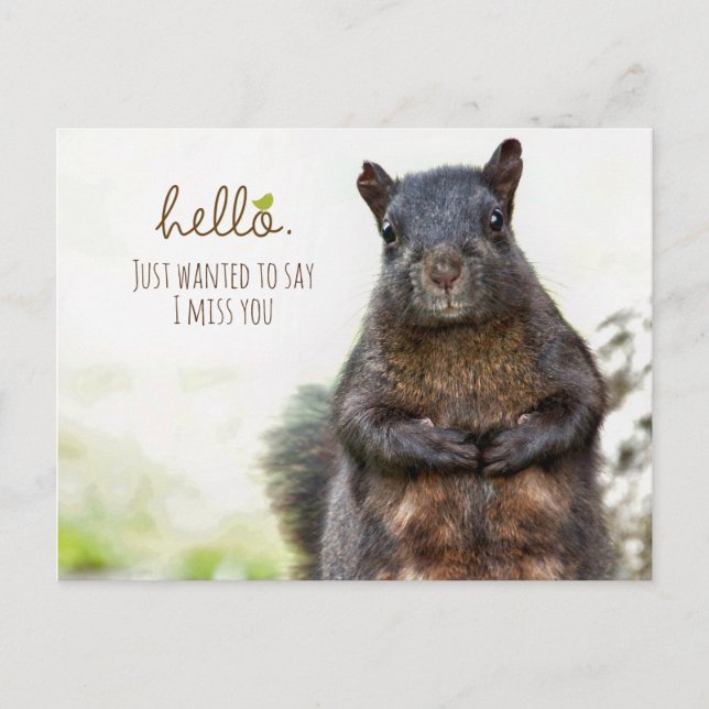 Hallo ich Miss Sie Postkarte (Vorderseite)