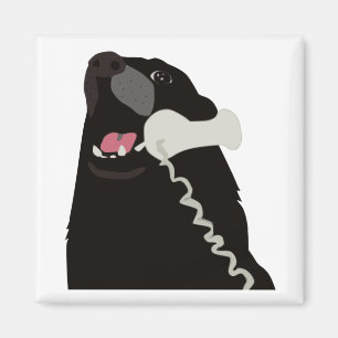 HALLO JA IST DIESES HUNDEtelefontelefon Magnet