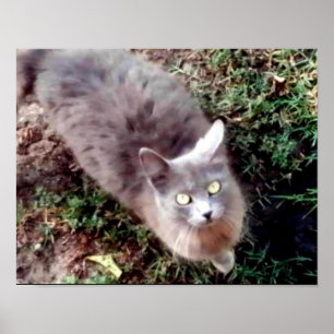 Hallo kannst du mich hören poster