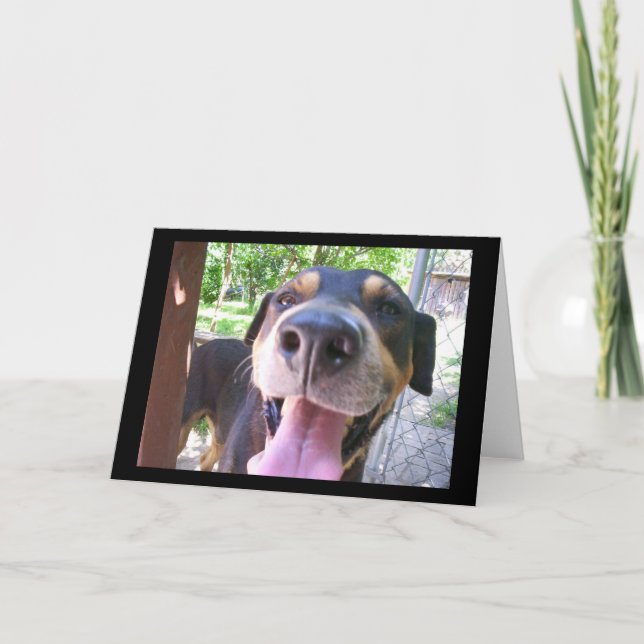 Hallo Karte (Vorderseite)