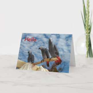 Hallo Karte