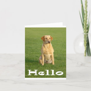 Hallo Labrador Retriever Puppy Hunde Note Card Karte