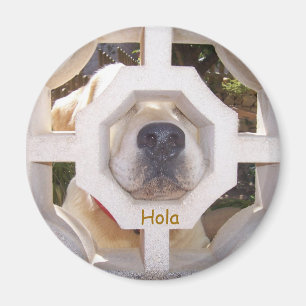 Hallo Magnet