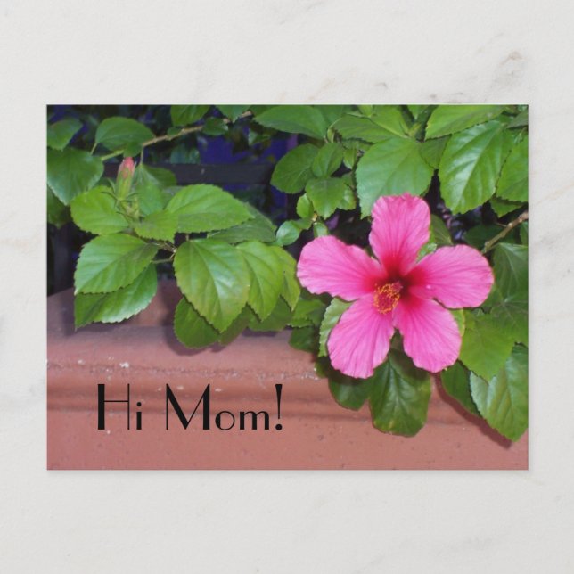 Hallo Mama! Blume Postkarte (Vorderseite)