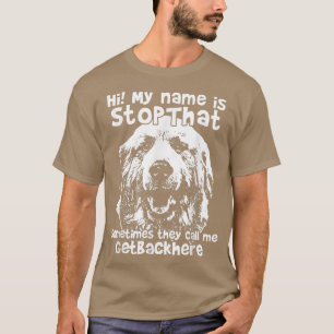 Hallo, mein Name ist StoppDiese lustigen großen Py T-Shirt