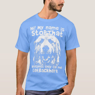 Hallo, mein Name ist StoppDiese lustigen großen Py T-Shirt
