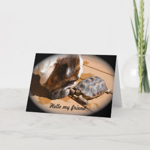 Hallo meine Freundschaftskarte Karte