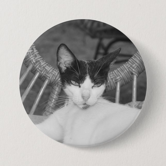 Hallo, Meow.. Button (Vorderseite)