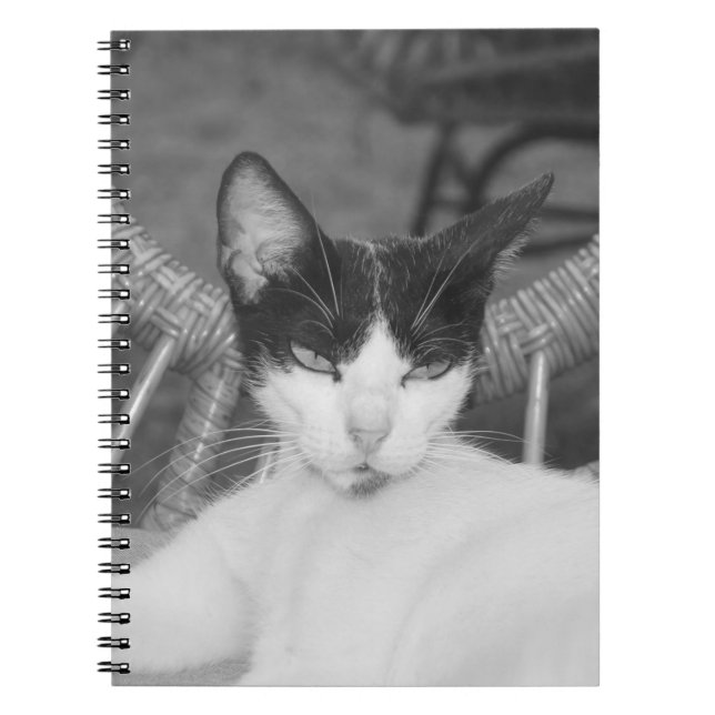 Hallo, Meow.. Notizblock (Vorderseite)
