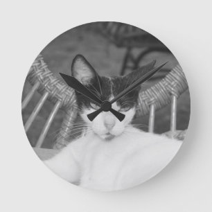Hallo, Meow.. Runde Wanduhr