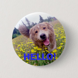 HALLO! - Mergeliger Knopf Button
