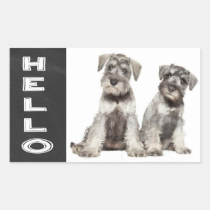 Hallo Miniature Schnauzer Hund Kreidetafel Aufkleb Rechteckiger Aufkleber