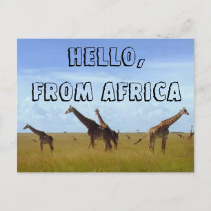 Hallo mit Liebe aus Afrika Hakuna Matata Postkarte