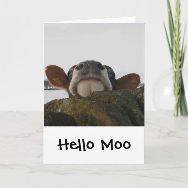 Hallo Moo Karte (Vorderseite)